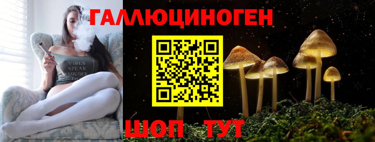 Галлюциногенные грибы GOLDEN TEACHER Всеволожск
