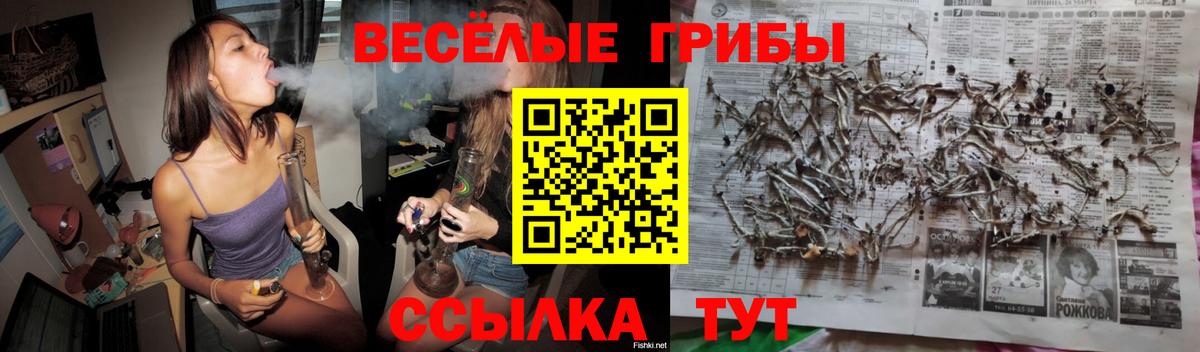 Псилоцибиновые грибы Cubensis  Псилоцибиновые грибы мухоморы  как найти закладки  Вход с VPN  Всеволожск 